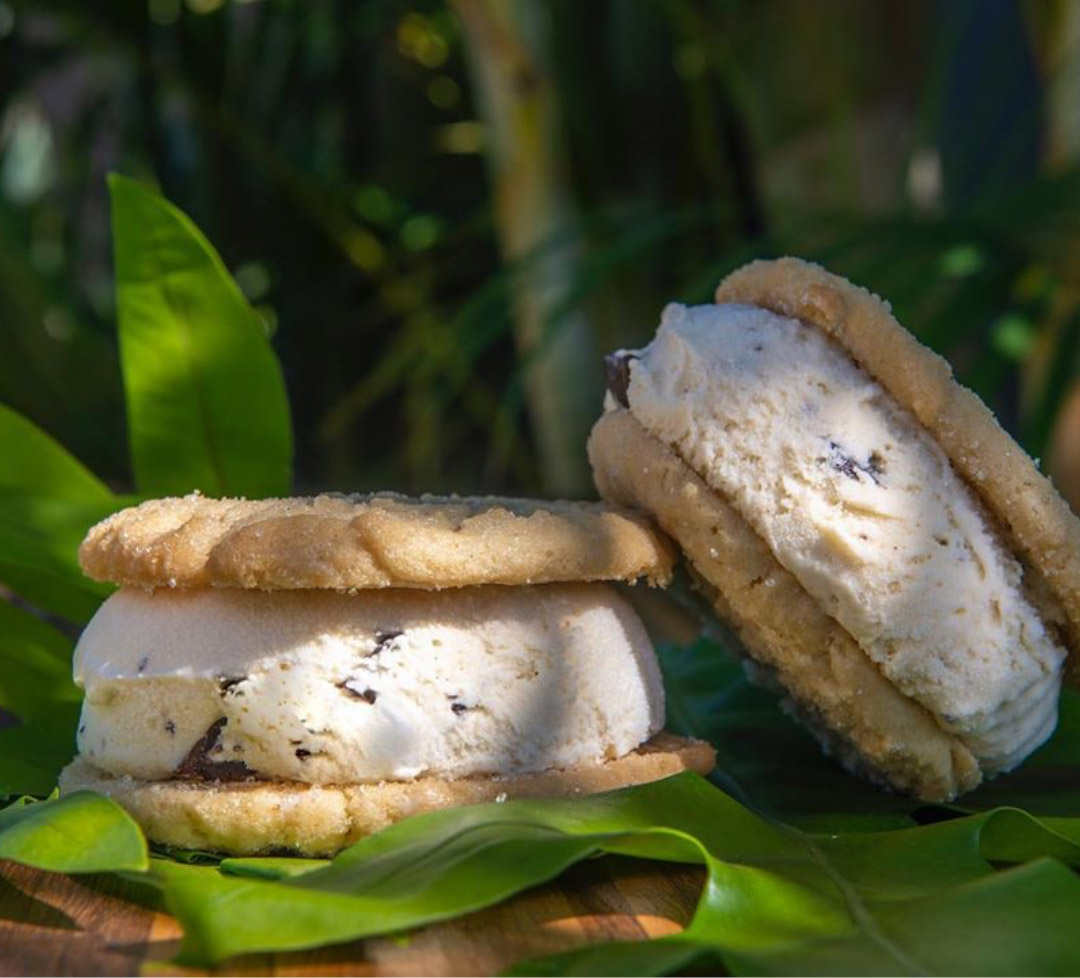 We All Scream for Ice Cream (Sandwiches)! Hawaiian Host Group