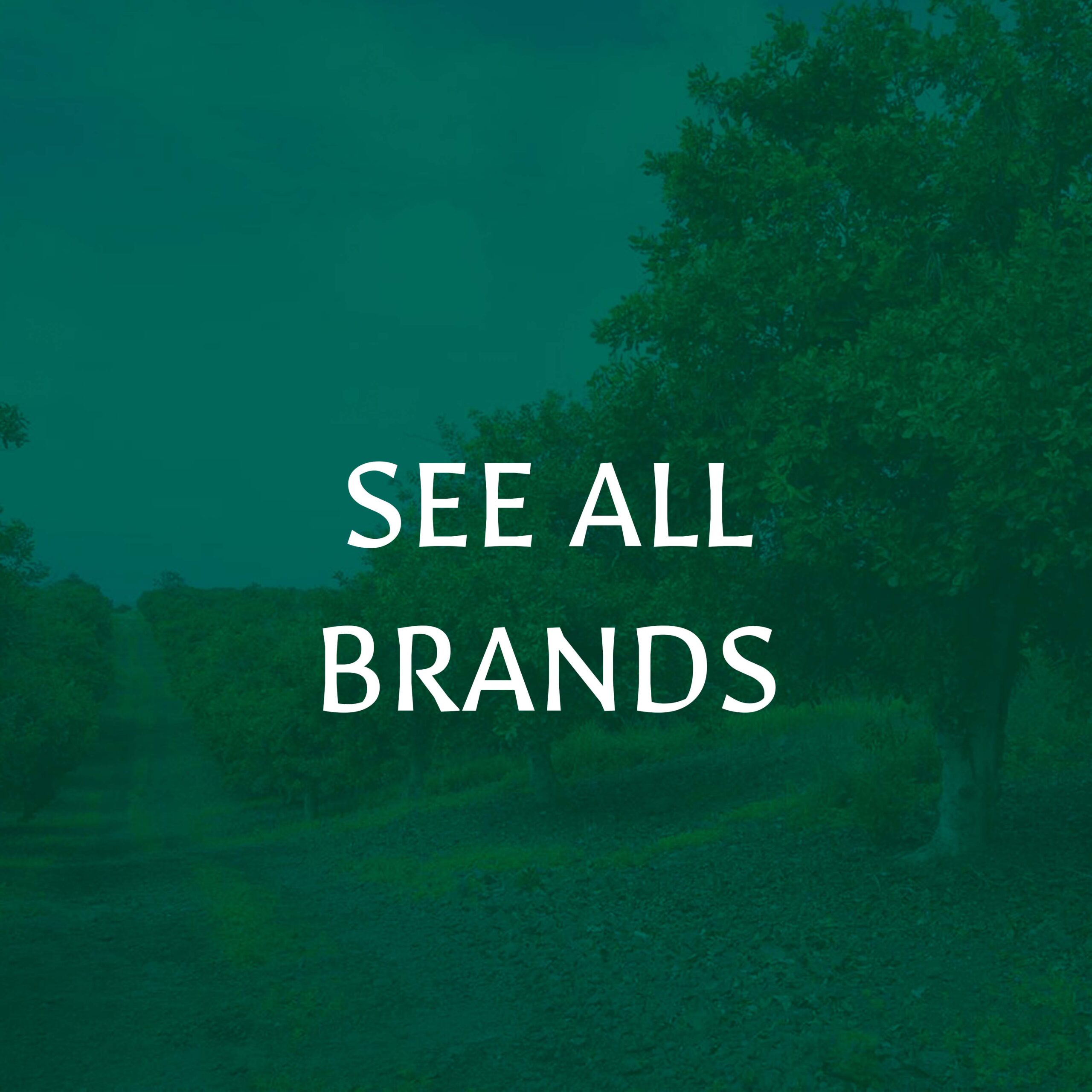 See All Brands